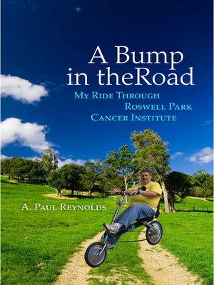 cover image of A Bump in the Road